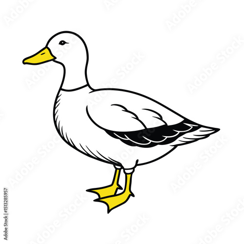 yellow billed teal sketch vector