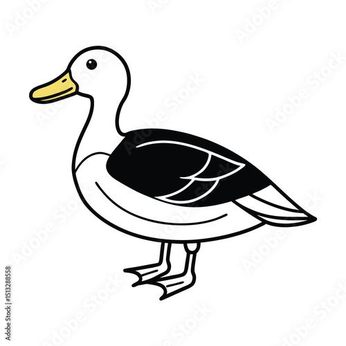 yellow billed teal sketch vector