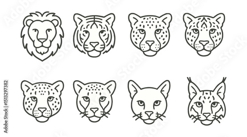 Line style icons of all big cats: lion, tiger, leopard, jaguar, snow leopard, cheetah, cougar, caracal, clouded leopard, lynx.