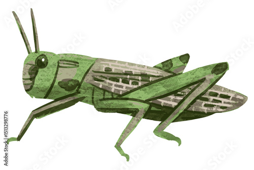 手描きのバッタのベクターイラスト