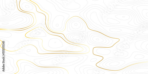 Complex topographic contour lines abstract geographic map. Intricate line patterns on background Minimal Contour Map Pattern Design


