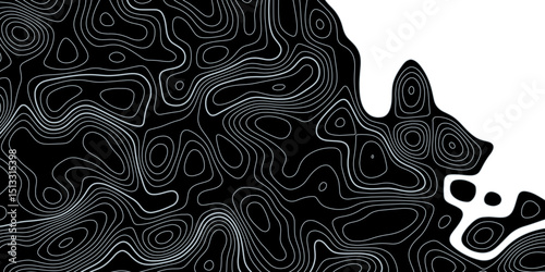 Complex topographic contour lines abstract geographic map. Intricate line patterns on background Minimal Contour Map Pattern Design


