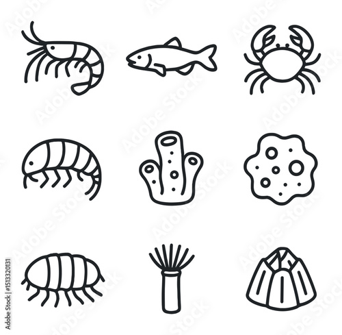Cave-Dwelling Marine Icons. Outline icon set of cave-dwelling marine creatures: blind shrimp, cavefish, crustacean, amphipod,