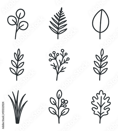 Foliage Icon Set. Outline icon set of greenery and filler foliage: eucalyptus sprig, fern frond, salal leaf, pittosporum branch,