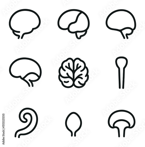 Brain Regions Icons. Outline icon set of major brain regions: frontal lobe outline, temporal lobe, parietal lobe, occipital lobe,