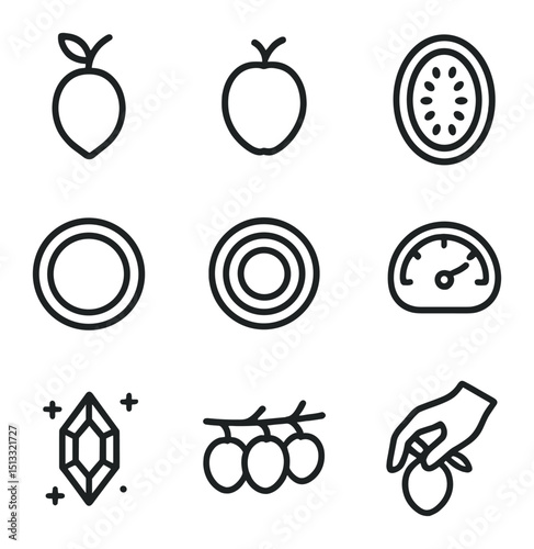 Fruit Development Icons. Outline icon set of fruit development: young fruit, mature fruit, seed cluster, ovary wall, pericarp