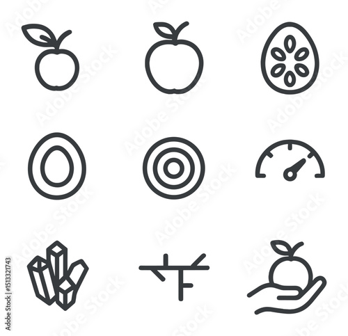 Fruit Development Icons. Outline icon set of fruit development: young fruit, mature fruit, seed cluster, ovary wall, pericarp