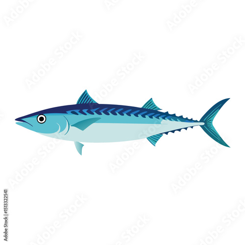  a Mackerel saltwater fish vector art illustration 