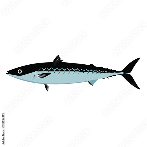 Atlantic Mackerel saltwater fish vector black color silhouette