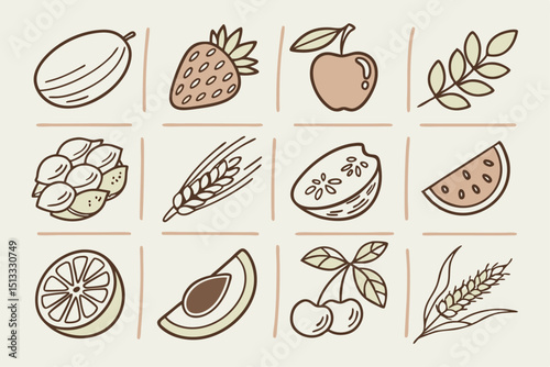 set of fruits