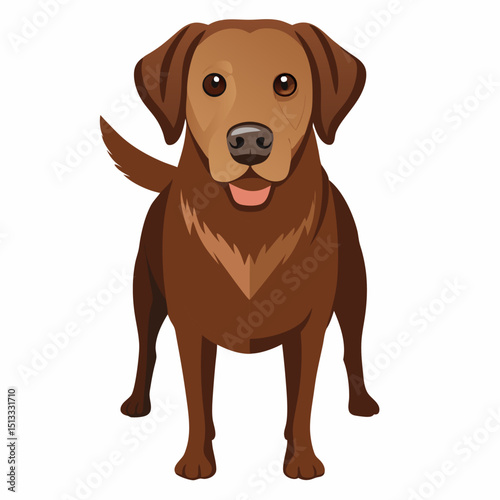 Adorable purebred golden retriever puppy and adult dogs looking cute