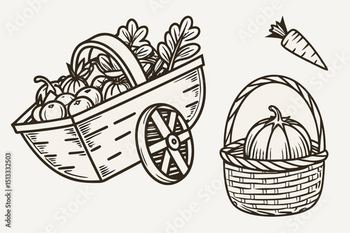harvest of corn