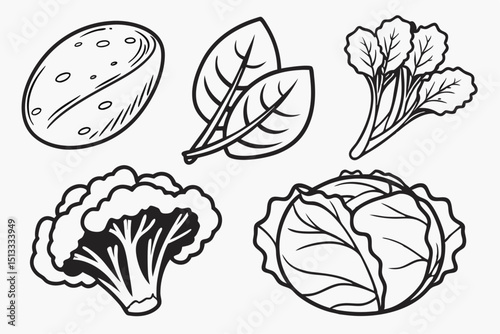 set of vegetables