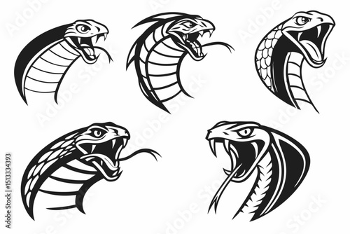 vector set of cartoon animals