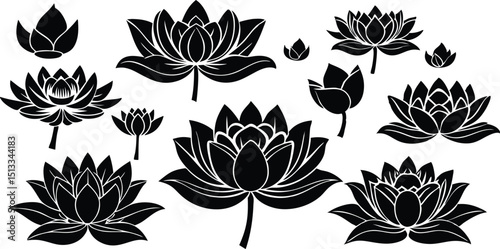 Collection of Elegant Black and White Lotus Flower Illustrations