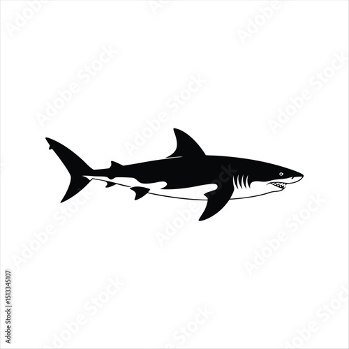 Shark isolated on white