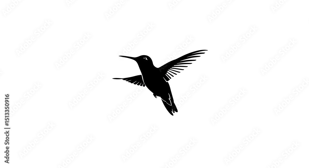 Obraz premium Elegant Hummingbird Silhouette A Black and White Bird Illustration