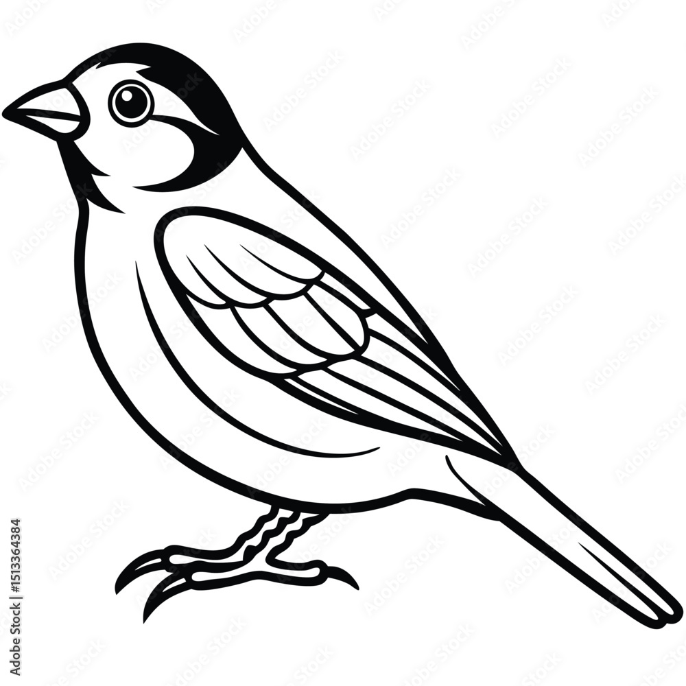Obraz premium Hand-drawn vector illustration of a wild bird, like a crow or bullfinch, perched on a winter branch, showcasing its silhouette and detailed feathers
