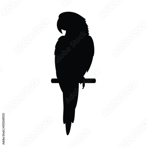 Elegant black-and-white parrot illustration, suitable for digital designs, print media, or web applications.