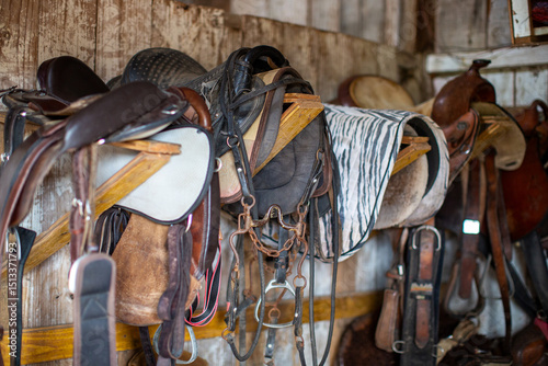 Tableau sur toile Selas de cavalo variadas penduradas em uma parede de madeira em uma selaria ou e