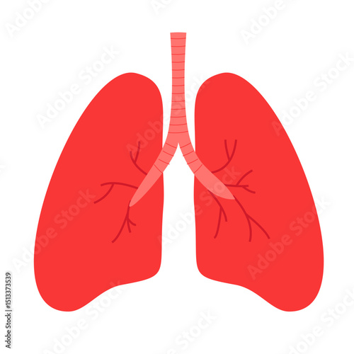 Illustration of healthy lungs in fresh pink tones, 
    anatomical organ style. Minimalist style, flat art design.