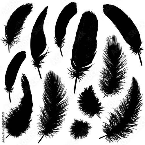 Collection of black feather silhouettes isolated on transparent background