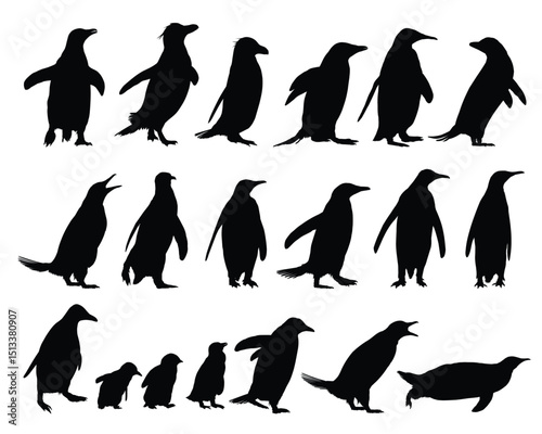 Set of silhouettes of wild penguins.

