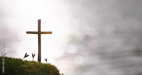 A heart-shaped plant symbolizing the cross of Jesus Christ and love, with a bright, sparkling sun and a beautiful sea background video

