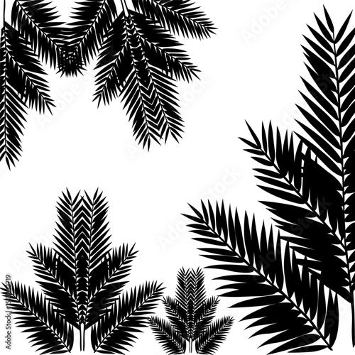 Palm Tree Leaf Silhouettes for Tropical Design