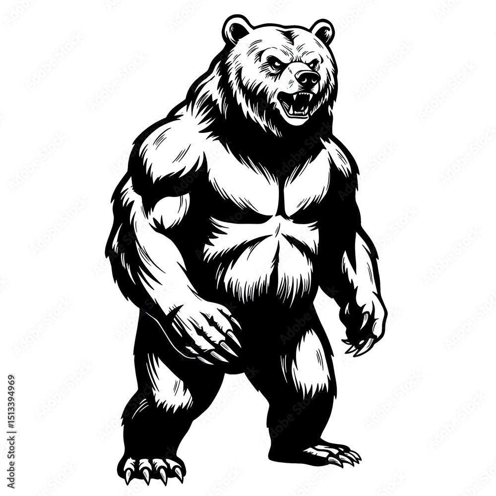 Obraz premium brown bear vector