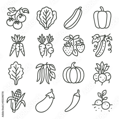 Vegetable and fruit linear icon collection for healthy food design and gardening projects