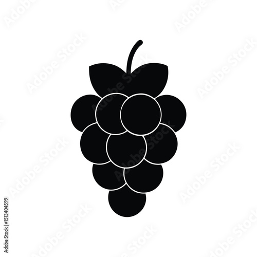 vector illustration of grapes