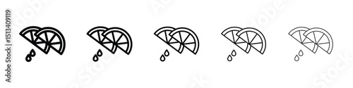 Citrus slice icon Outline and flat style designs