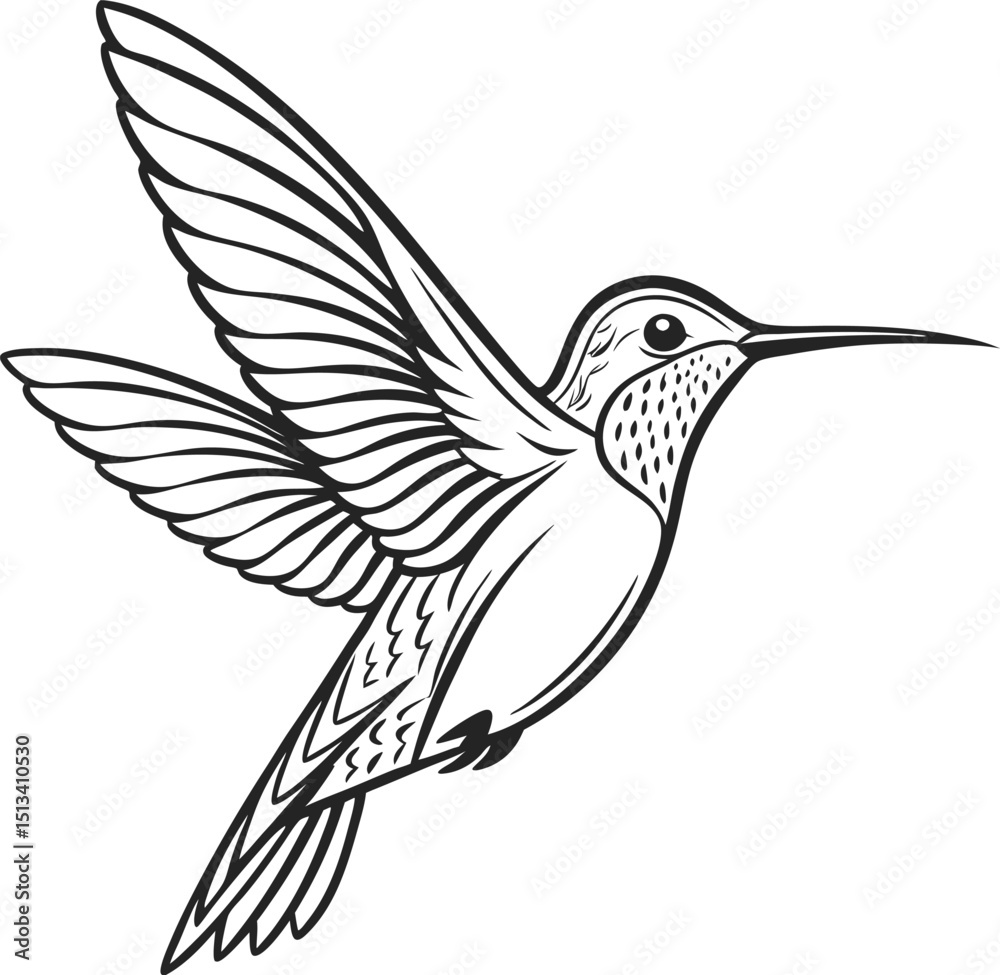 Obraz premium Flying hummingbird vector silhouette illustration