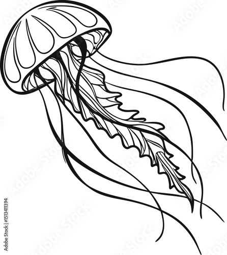 Here's a concise description for your image:

A hand-drawn vector sketch illustrating a girl with wings, a peacock, and a butterfly, perfect for animal art and tattoo design