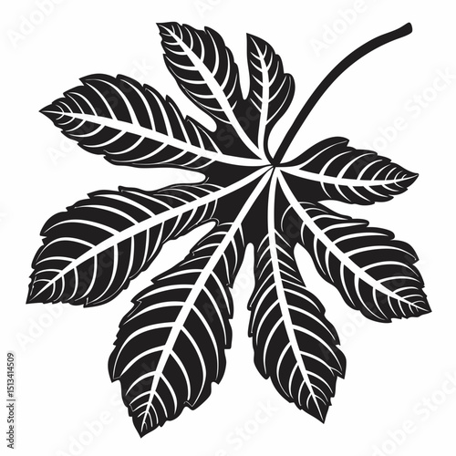 Ornate Black and White Rowan Branch Illustration . Detailed, graphic illustration of a rowan branch with intricate leaf details.