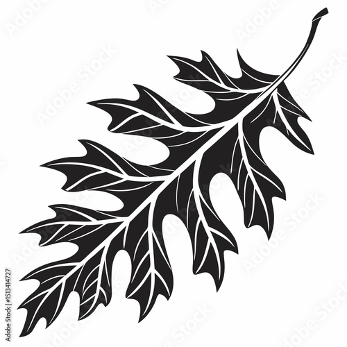 Ornate Black and White Rowan Branch Illustration . Detailed, graphic illustration of a rowan branch with intricate leaf details.