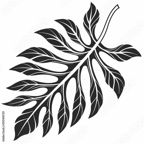 Ornate Black and White Rowan Branch Illustration . Detailed, graphic illustration of a rowan branch with intricate leaf details.