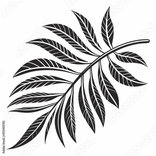 Ornate Black and White Rowan Branch Illustration . Detailed, graphic illustration of a rowan branch with intricate leaf details.