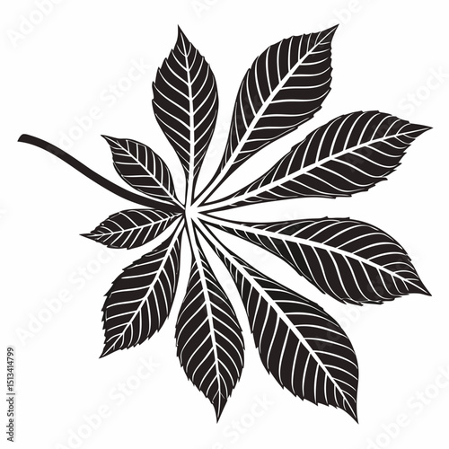 Ornate Black and White Rowan Branch Illustration . Detailed, graphic illustration of a rowan branch with intricate leaf details.