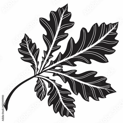 Ornate Black and White Rowan Branch Illustration . Detailed, graphic illustration of a rowan branch with intricate leaf details.