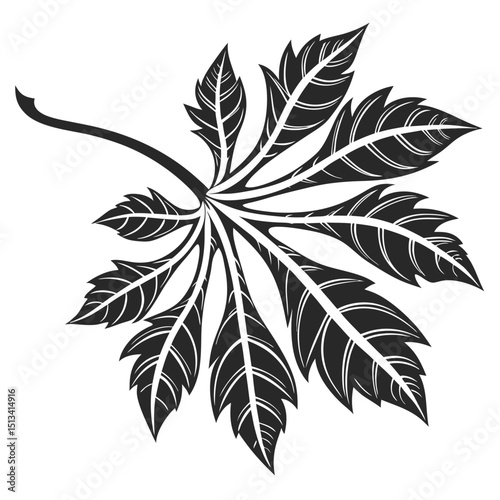 Ornate Black and White Rowan Branch Illustration . Detailed, graphic illustration of a rowan branch with intricate leaf details.
