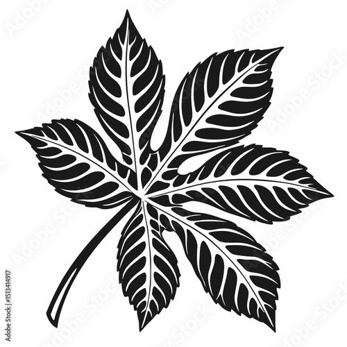 Ornate Black and White Rowan Branch Illustration . Detailed, graphic illustration of a rowan branch with intricate leaf details.