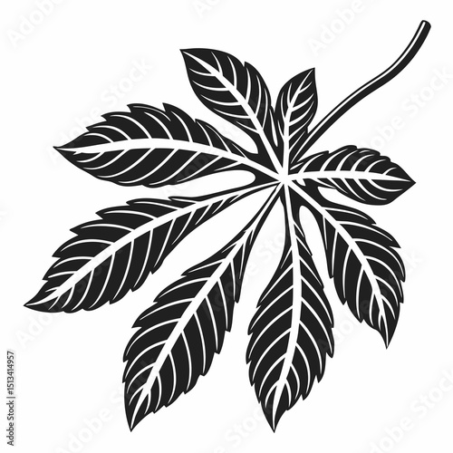 Ornate Black and White Rowan Branch Illustration . Detailed, graphic illustration of a rowan branch with intricate leaf details.