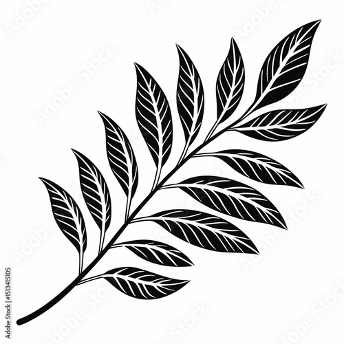Ornate Black and White Rowan Branch Illustration . Detailed, graphic illustration of a rowan branch with intricate leaf details.