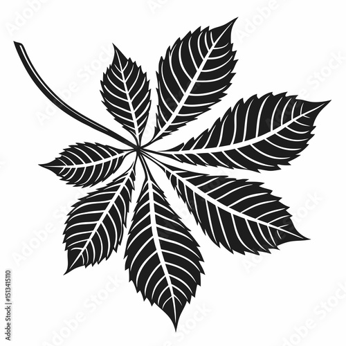 Ornate Black and White Rowan Branch Illustration . Detailed, graphic illustration of a rowan branch with intricate leaf details.