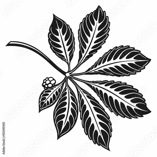 Ornate Black and White Rowan Branch Illustration . Detailed, graphic illustration of a rowan branch with intricate leaf details.