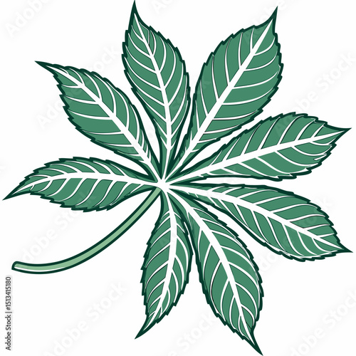 Ornate Black and White Rowan Branch Illustration . Detailed, graphic illustration of a rowan branch with intricate leaf details.