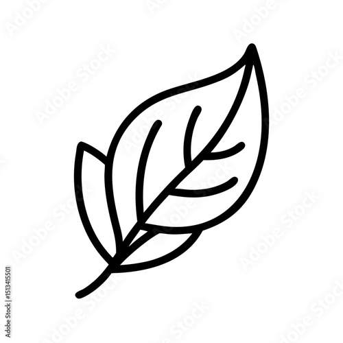 Ornate Black and White Rowan Branch Illustration , Detailed, graphic illustration of a rowan branch with intricate leaf details. 
