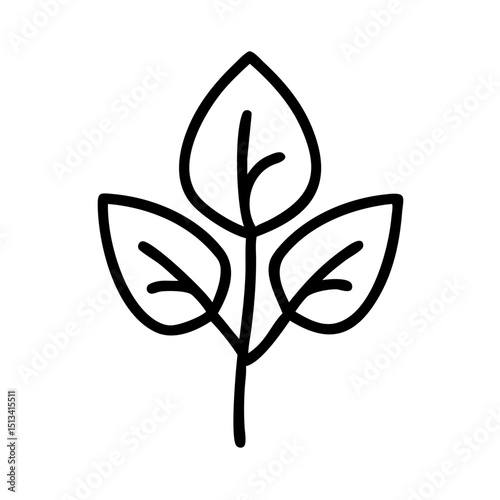 Ornate Black and White Rowan Branch Illustration , Detailed, graphic illustration of a rowan branch with intricate leaf details. 